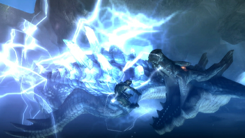 Monster Hunter Tri (3)